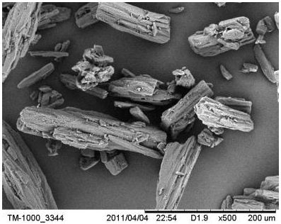 SEM image of AR D-mannitol particles