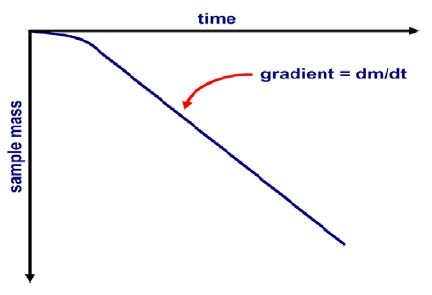 A schematic form of Knudsen mass vs time data