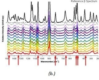 Raman spectra (b.) taken at 2-hour ntervals for d D-mannitol