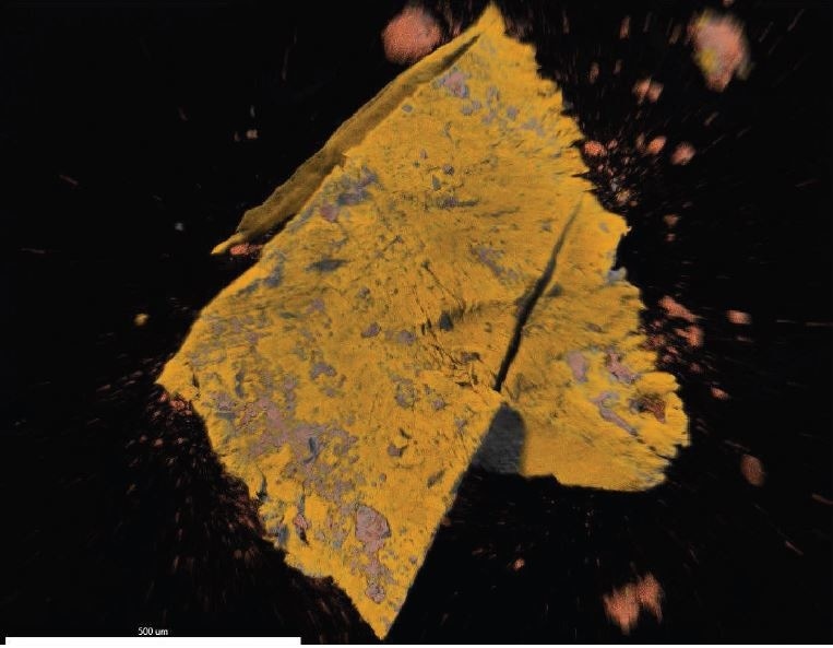 EDX map overlay of Fluorine (yellow, correlates with PTFE) and Iron (reddishorange, correlates with iron oxide).