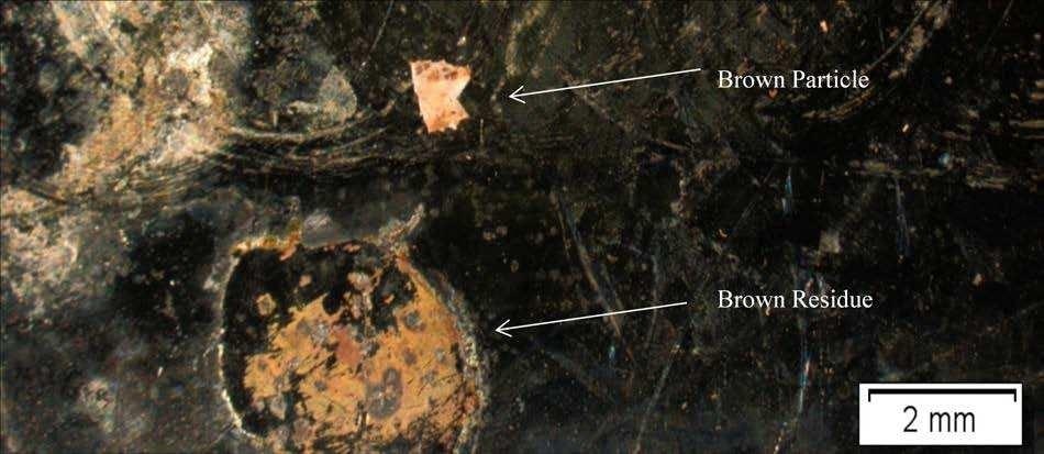 Optical Micrograph of Brown Particle and Brown Residue.