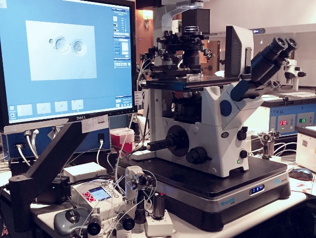 TMC Everstill K-400 isolating an optical microscope