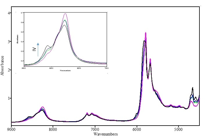 FT-NIR spectra of oils in the range of 4500—9000 cm-1