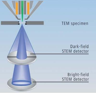 The unique arrangement of both brightfield (BF) and darkfield (DF) diodes in the ZEISS Multi-Mode STEM detector. BF and DF electrons can be collected simultaneously and processed together. BF inverted DF is a typical configuration for large fields of view in excess of 100 microns with even illumination.