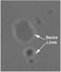 Microscope picture showing the Becke Line present in the liquid phase (Liquid RI > Particle RI).