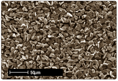 SEM image of compact shaped grains.