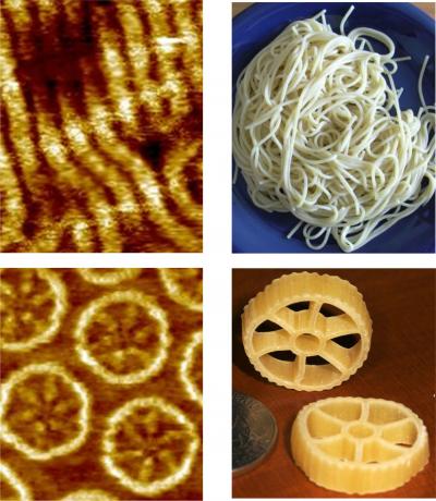 Images of molecules for light-emitting diodes on the left are compared with similar shaped pasta on the right. The upper left electron microscope image shows spaghetti-shaped organic polymers now used for organic light-emitting diodes, or OLEDs. The lower left image shows new molecules -- created by scientists at the University of Utah and two German universities -- that are shaped like wagon-wheel or rotelle pasta and emit light more efficiently than the spaghetti-shape polymers
