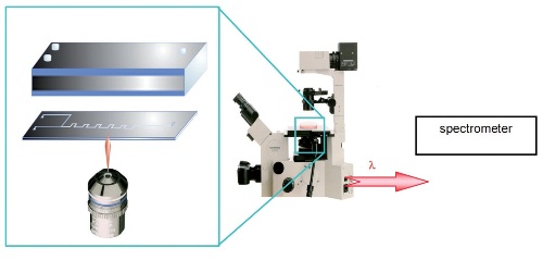 The unique inverted sampling configuration of the LabRAM INV opens up new possibilities for analysis