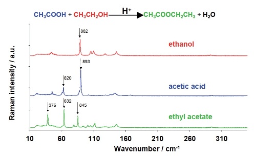 The ethyl acetate synthesis reaction, with the Raman spectra of the individual components shown beneath