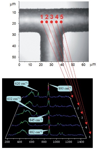 Raman spectra (left) acquired from different positions within the T-junction (shown above)