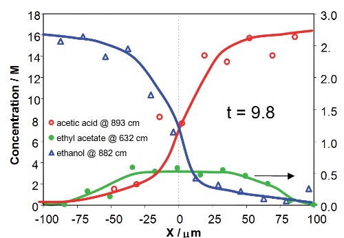 Concentration profiles for acetic acid, ethanol and ethyl acetate across the downstream channel at different Y positions, corresponding to 2.3s and 9.8s after initialization of reaction