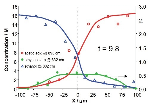 Concentration profiles for acetic acid, ethanol and ethyl acetate across the downstream channel at different Y positions, corresponding to 2.3s and 9.8s after initialization of reaction