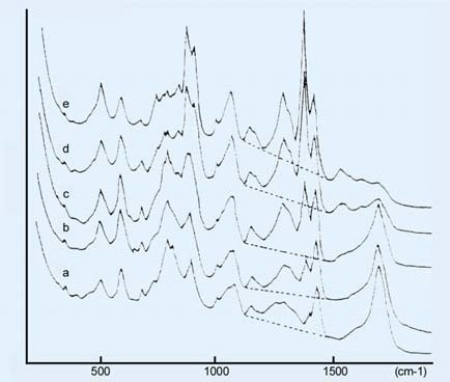 Raman spectra of poly (acrylic acid) at different degrees of neutralization. Degree of neutralixation, a: (a) 0, (b) 0.2, (c) 0.4, (d) 0.8, (e) 1.0. 25% aqueous solution. The dashed lines indicate the backgrounds. (These spectra are reproduced from Koda. et.al, Raman Spectroscopic Studies on the Interaction Between Counterion and Polyion, Boiphysical Chem., 15, 65-72, 1982).