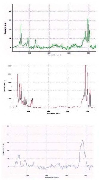 Raman spectra for the different components in the explosive material.