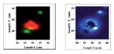 (left) Raman mapped image for the two active components, RDX (red), and PETN (green), and Raman mapped image for the inert binder (right).