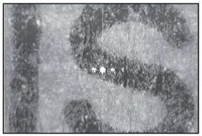 Video image of magnified print of the document (Image size ~700 x 1000mm)