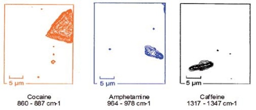 Confocal mapped images generated from Raman spectra by the integration under the characteristic band of each compound.