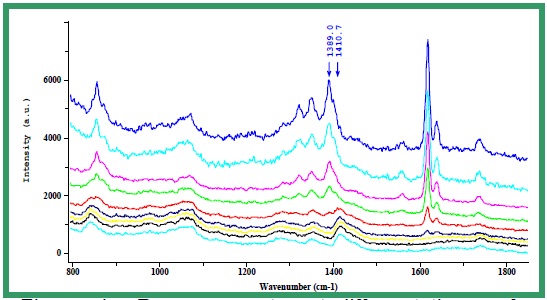 Raman spectra at different times of the reaction
