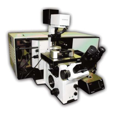 Combination of the Veeco Bioscope II with the HORIBA Scientific LabRAM HR spectrometer