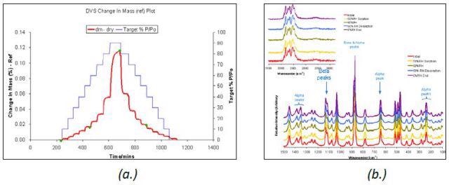 DVS water sorption and desorption cycle (a.) and Raman spectra (b.) for ß D-mannitol.