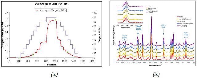 DVS water sorption and desorption cycle (a.) and Raman spectra (b.) for ß and a D-mannitol.