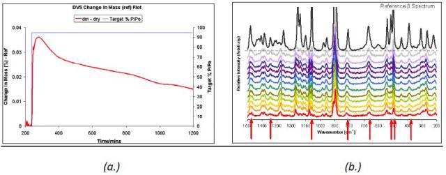 Raman Spectroscopy, Vapor Sorption, Moisture-Induced Polymorphic Transition