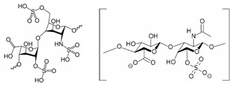 Molecular structure for heparin (left) and chondroitin sulfate (right). The sulfate groups are expected to impart an increased negative charge on heparin samples contaminated with chondroitin sulfate.
