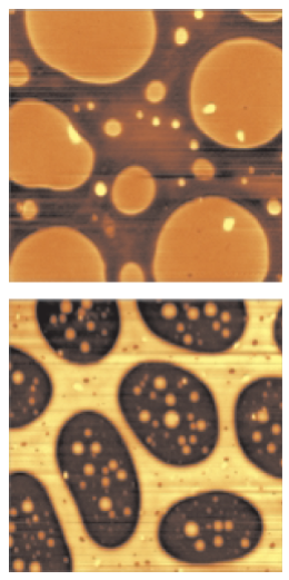 Topography of polymer blends: Top: SBR-PMMA (image size 7x7x0.03µm3) Bottom: SBS-PMMA (image size 10x10x0.08µm3).