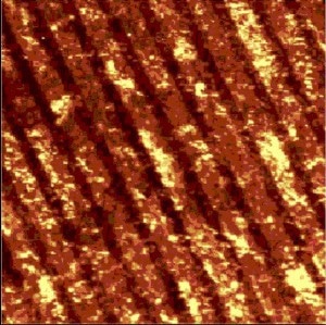 Image of the integral intensity of all Raman lines: Carbon nanotubes assembled in rows with corresponding Raman spectra.