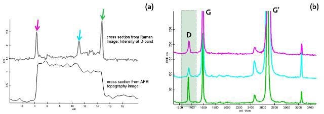 (a) Comparison of D-band intensities with the height profile along the cross section indicated in Figure 2b. (b) Raman spectra from the positions marked in Figure 5a.