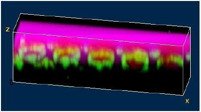 Color-coded 3D Raman Image of the structure. The colors correspond again to the colors of the spectra shown in Figure 4.