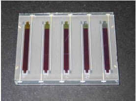 Image of the dye solar cell samples