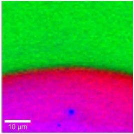 Raman Image of the border region of the dye solar cell.