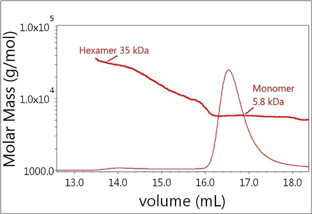 Plot of molar mass vs. time of sample 1. The UV signal at 280nm is plotted as an overlay. The molar masses were calculated using DRI and LS.