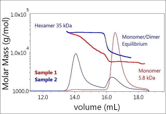 Plot of molar mass vs. time of sample 1 and 2 (mono-mer, dimer, hexamer). The UV signal at 280nm is plotted as an overlay. The molar masses were calculated using DRI and LS.