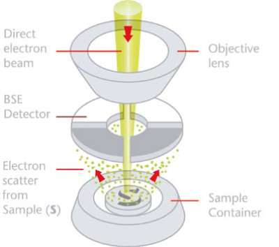 Schematic representation of the Phenom detection system in topographic mode