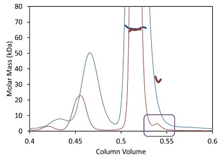 Light scattering data and measured molar mass for a protein separated by UHPLC (red) overlaid with the separation by standard HPLC (blue).