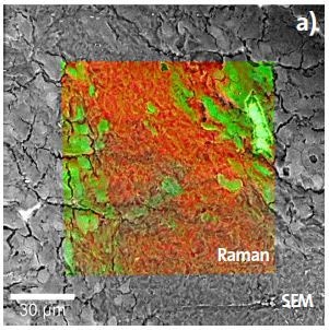 Raman-SEM image overlay of a hamster brain tissue sample. b) The corresponding Raman spectra reveal the different spectral characteristics of the white and gray brain matter.