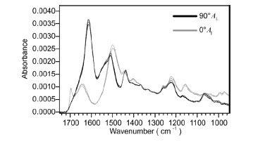 Normalized spectra of five different B. mori silk fibers recorded at 0° and 90°.