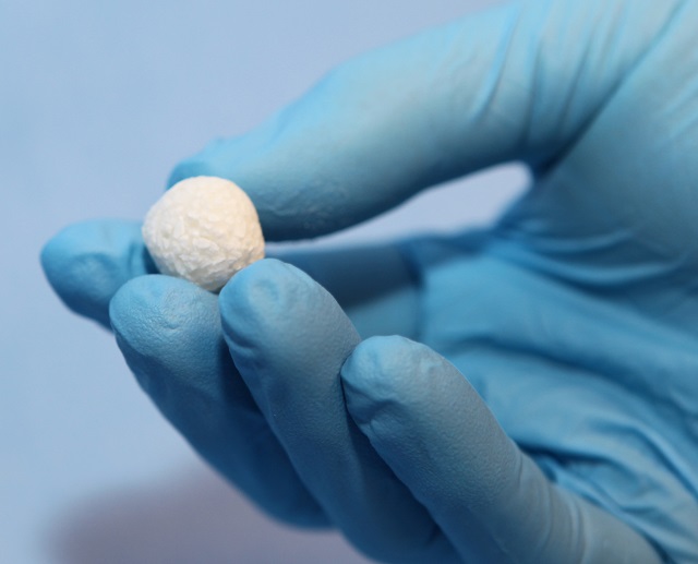 A prototype putty formulation of the MaxSi™ Graft technology that could be shaped by a surgeon in the operating theatre to fill a specific defect