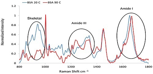 The Raman spectra of BSA (50 mg/mL at pH 7.4, PBS buffer), collected at 20°C and 90°C, respectively.