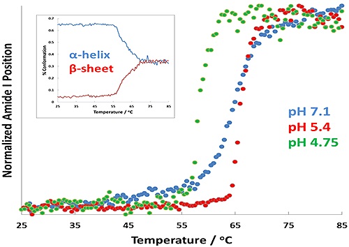 Protein transition curves as a function of temperature for formulations at pH 7.1 (blue), pH 5.4 (red), and pH 4.7 (green). The α-helix to β-sheet conversion is shown as an inset for the pH 4.7 results.