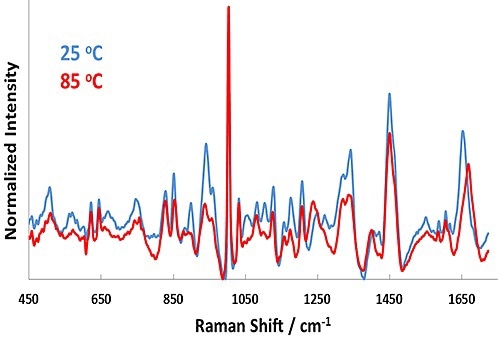 Representative Raman spectra for BSA in pH 7.1 formulation at 25°C (blue line) and 85°C (red line).