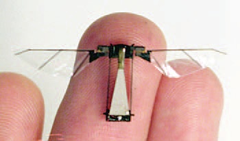 Robotic Insect Wings