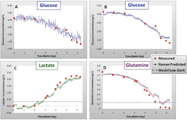 Validation results for glucose: univariate (A) and PLS (B), lactate (C) and glutamine (D) models showing Batch 4 measured and Raman predicted concentrations over time.