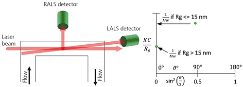 A. Schematic of a RALS/LALS hybrid detector showing the flow passing via the flow cell. B. When using RALS/LALS, the Debye plot is reduced to two points where the RALS value is used to maximize sensitivity for isotropic scatterers.