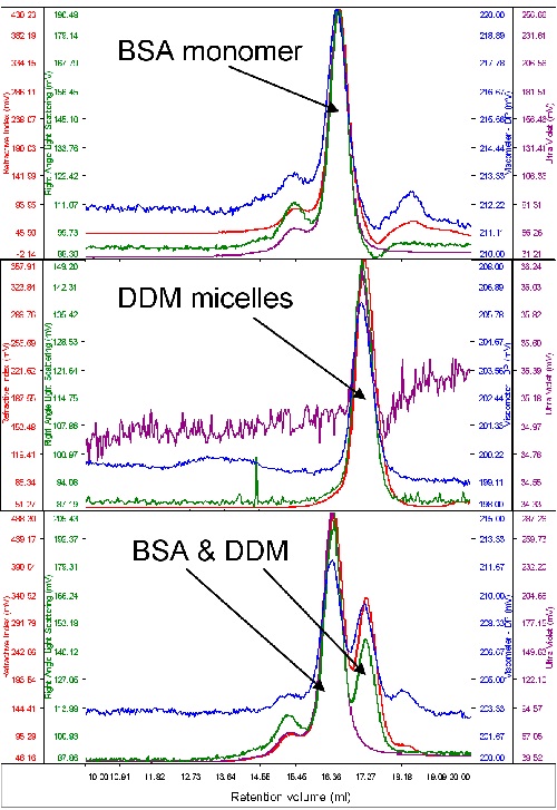 From top to bottom, chromatograms of BSA, DDM and a mixture of the two.