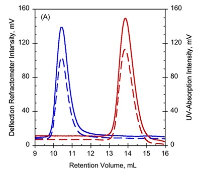 A. UV-absorption (plain curves) and deflection refractometer (dotted curves) chromatograms of apo-RD and holo-RD. B. right angle light scattering (plain curves) and differential pressure chromatograms (dotted curves) of apo-RD and holo-RD.