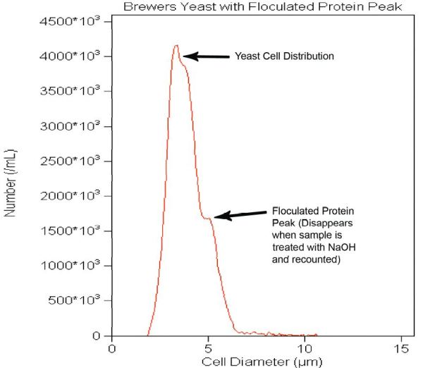 A yeast sample with a bi-modal peak. The first peak is yeast, while the second peak is that of flocculated protein. The secondary peak can be larger than the yeast cell peak.