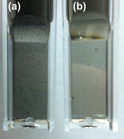 Optical images of SWCNT (a) without centrifugation and (b) with ultracentrifugation for two minutes at 55,000 RPM (~131,000 x g).